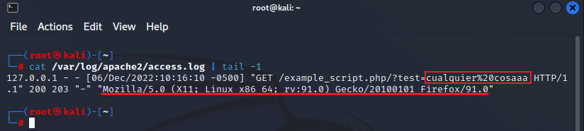 Vulnerabilidad Log Poisoning