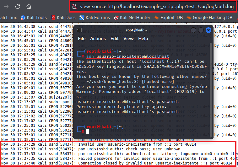 Vulnerabilidad Log Poisoning
