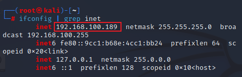Pentesting - Ganar Acceso