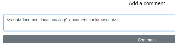 cross site scripting (xss)