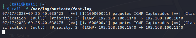 Detección de intrusos con Suricata