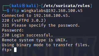 Detección de intrusos con Suricata