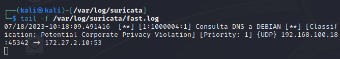 Detección de intrusos con Suricata