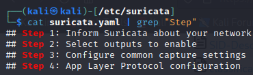 Detección de intrusos con Suricata