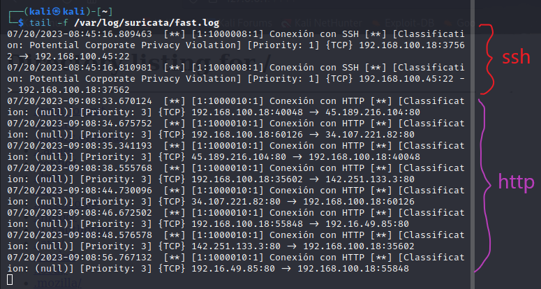 Detección de intrusos con Suricata