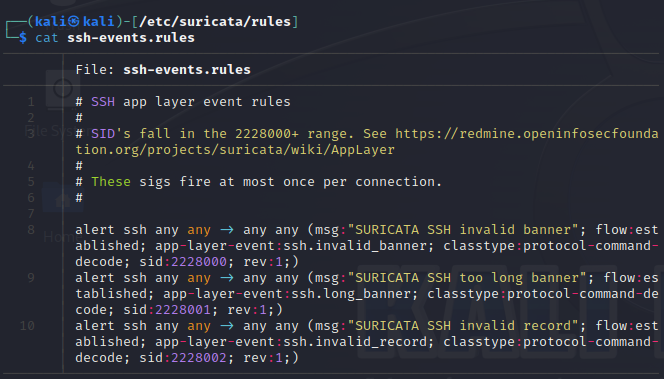 Detección de intrusos con Suricata